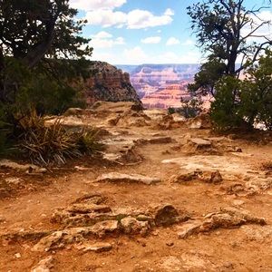 Meet your Posher, Summer